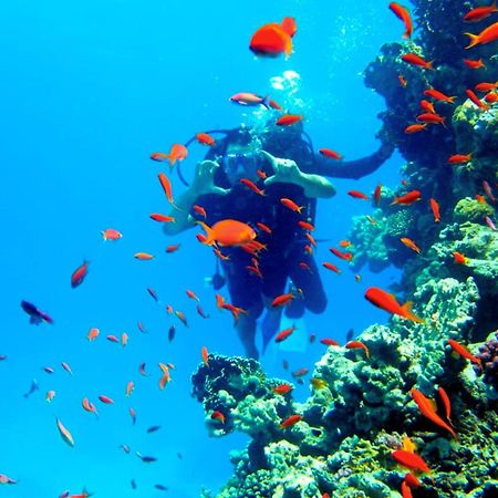 Luxury Sharm Hills Resort Екстериор снимка
